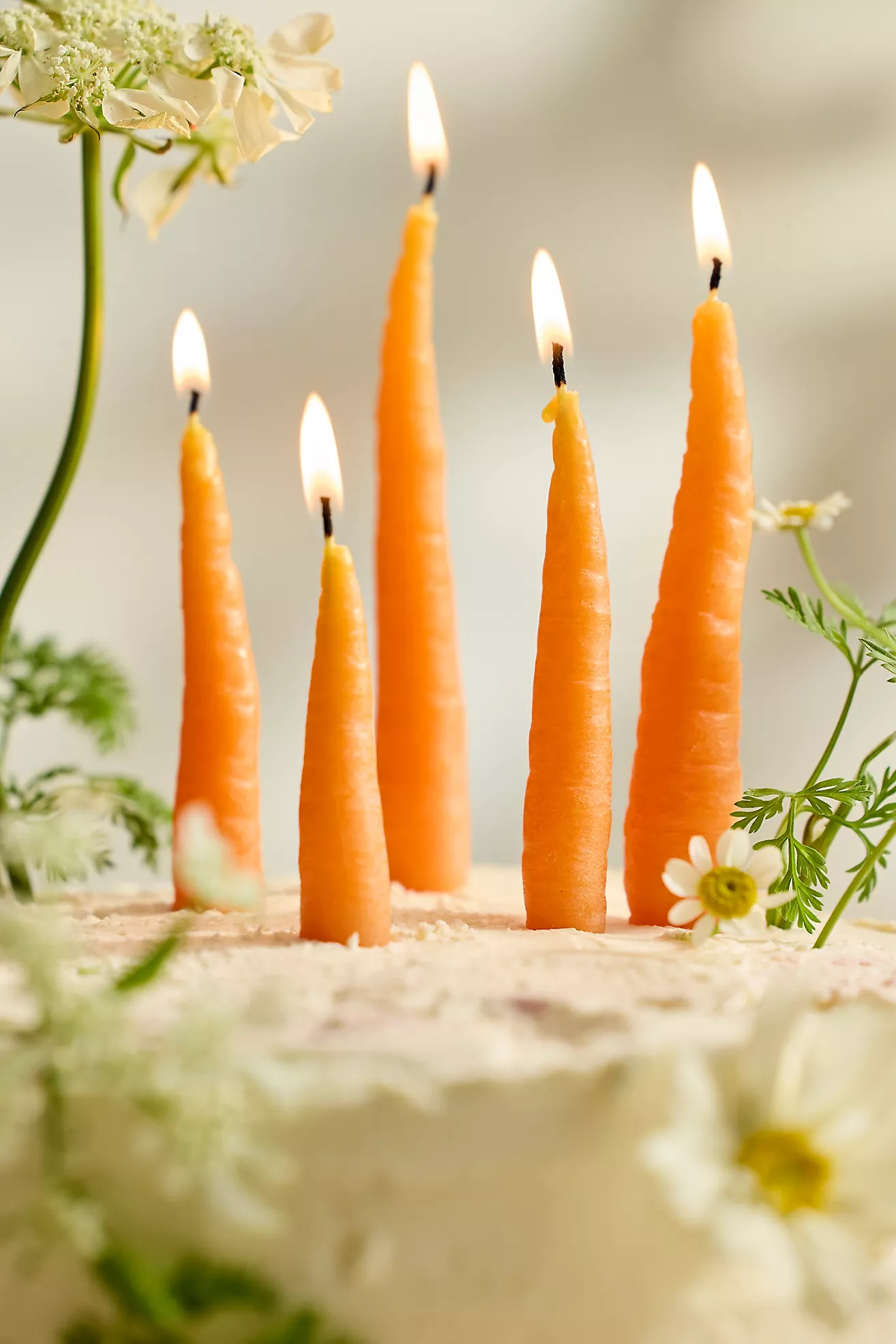 Happy Organics Carrot Beeswax Candles, Set of 5 | Anthropologie (US)