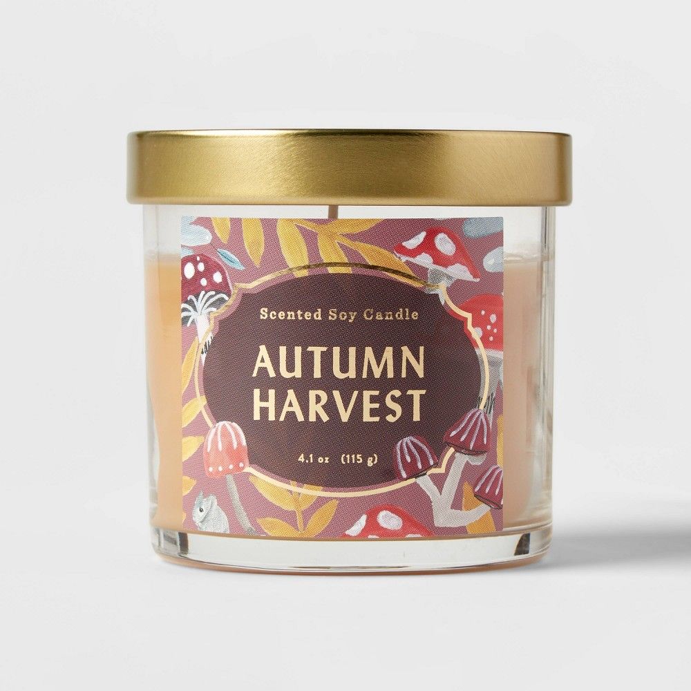 4.1oz Lidded Glass Jar Autumn Harvest Candle - Opalhouse™ | Target