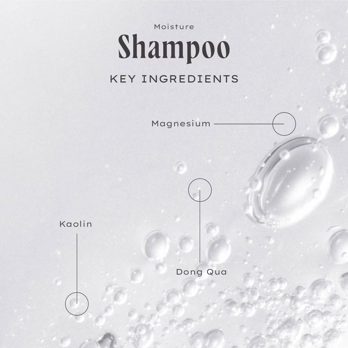 Being Frenshe Moisture Shampoo - Cashmere Vanilla - 16 fl oz | Target