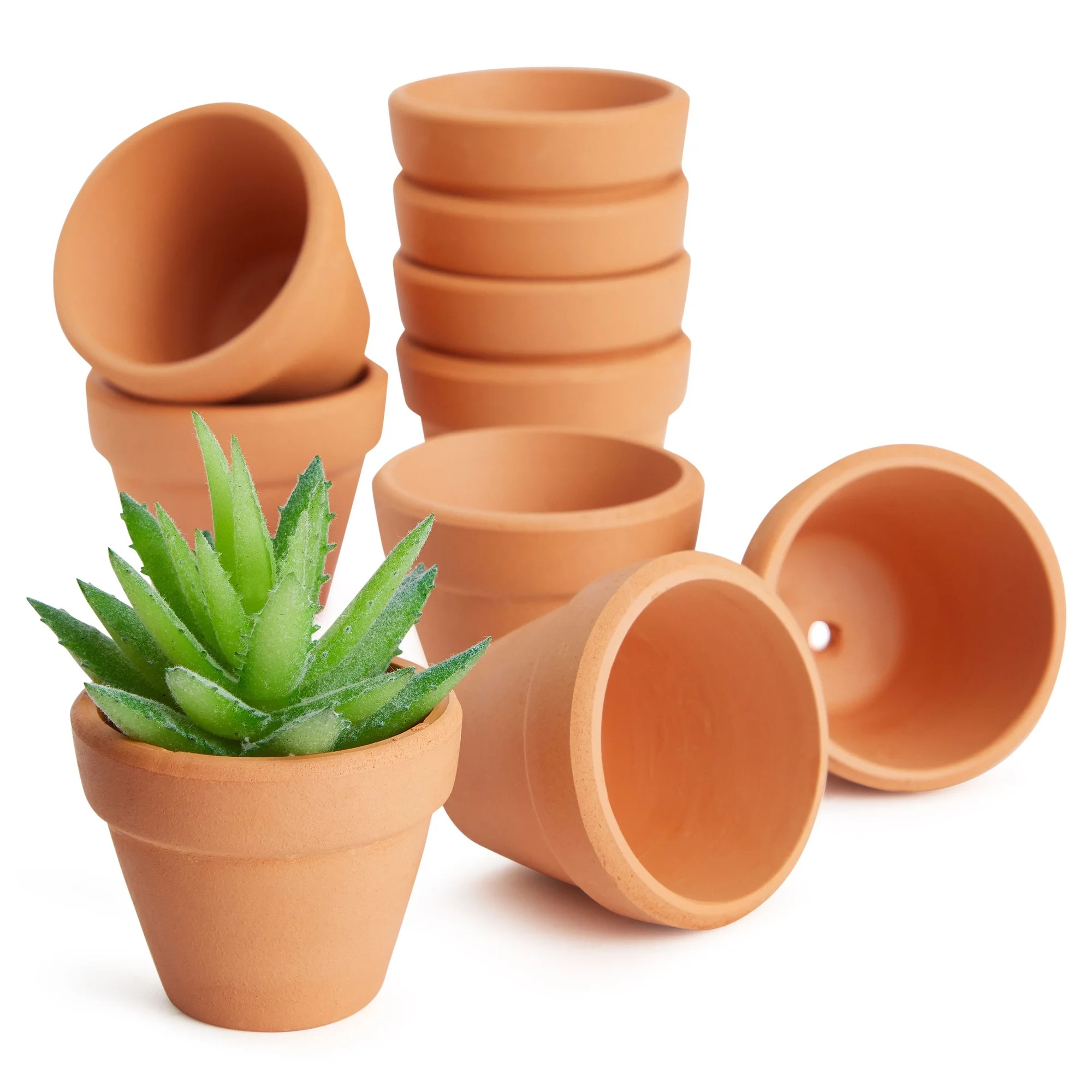 10-Pack 1.5-Inch Mini Terracotta Plants Pots with Drainage Holes for Cactus, Succulents, Tiny Cla... | Walmart (US)