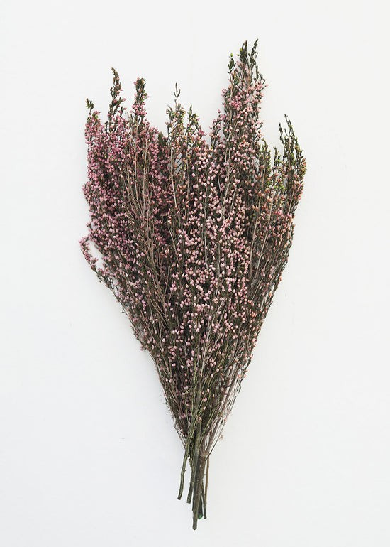 Naturally Preserved Heather Flowers - 15-20 | Afloral (US)