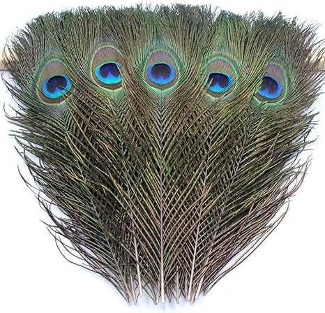 TinaWood Natural Peacock Eye Feathers 9.8-11.8 inch for DIY Craft, Wedding Holiday Decoration (35... | Amazon (US)