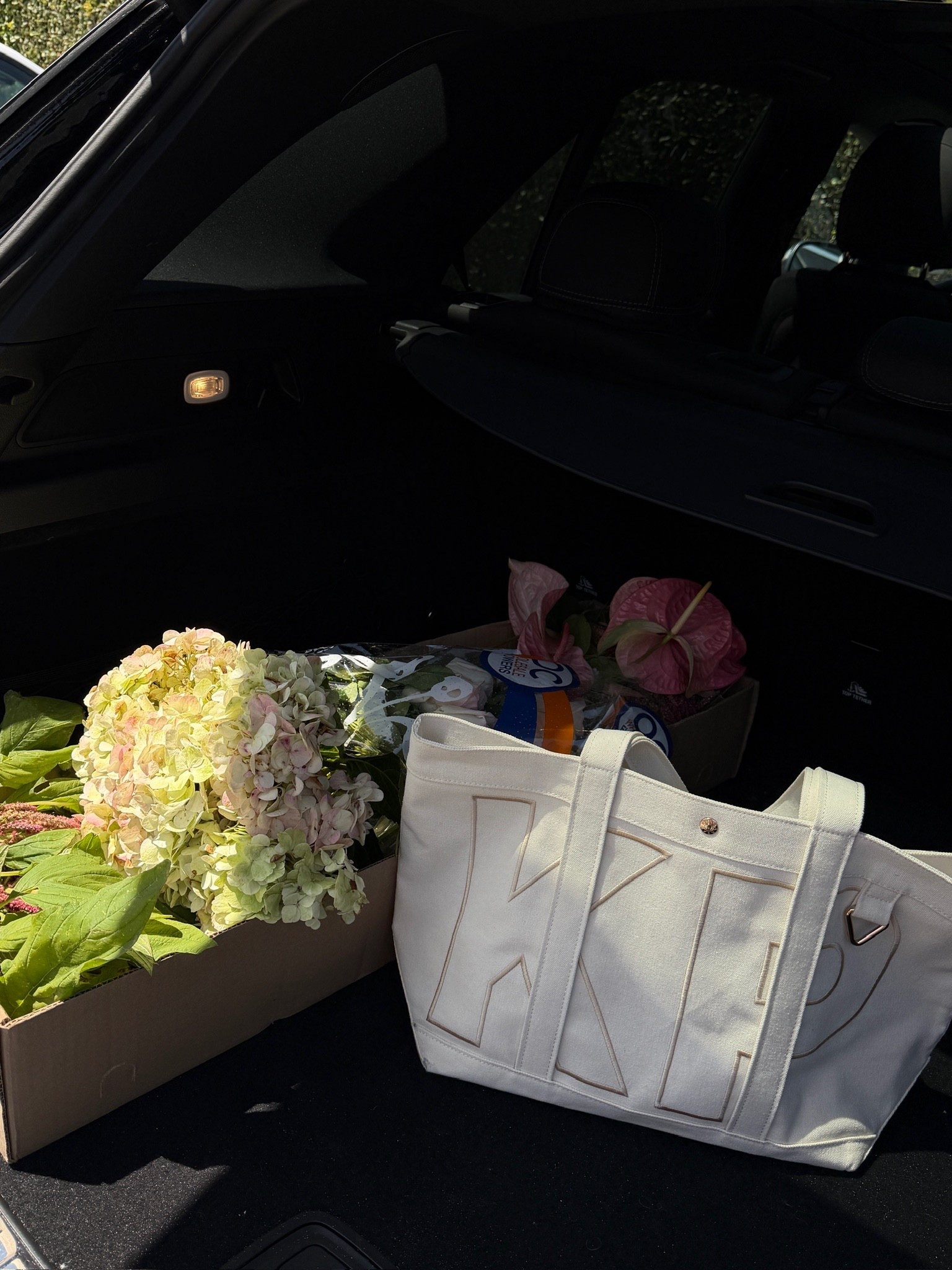 Medium sized tote, thread color is desert tan! #kathleenpost

Farmers market tote, beach tote, everyday tote bag