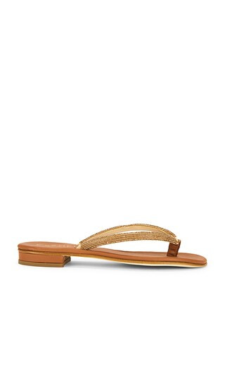 Pogliano Sandal in Burnt Sienna & Amber | Revolve Clothing (Global)