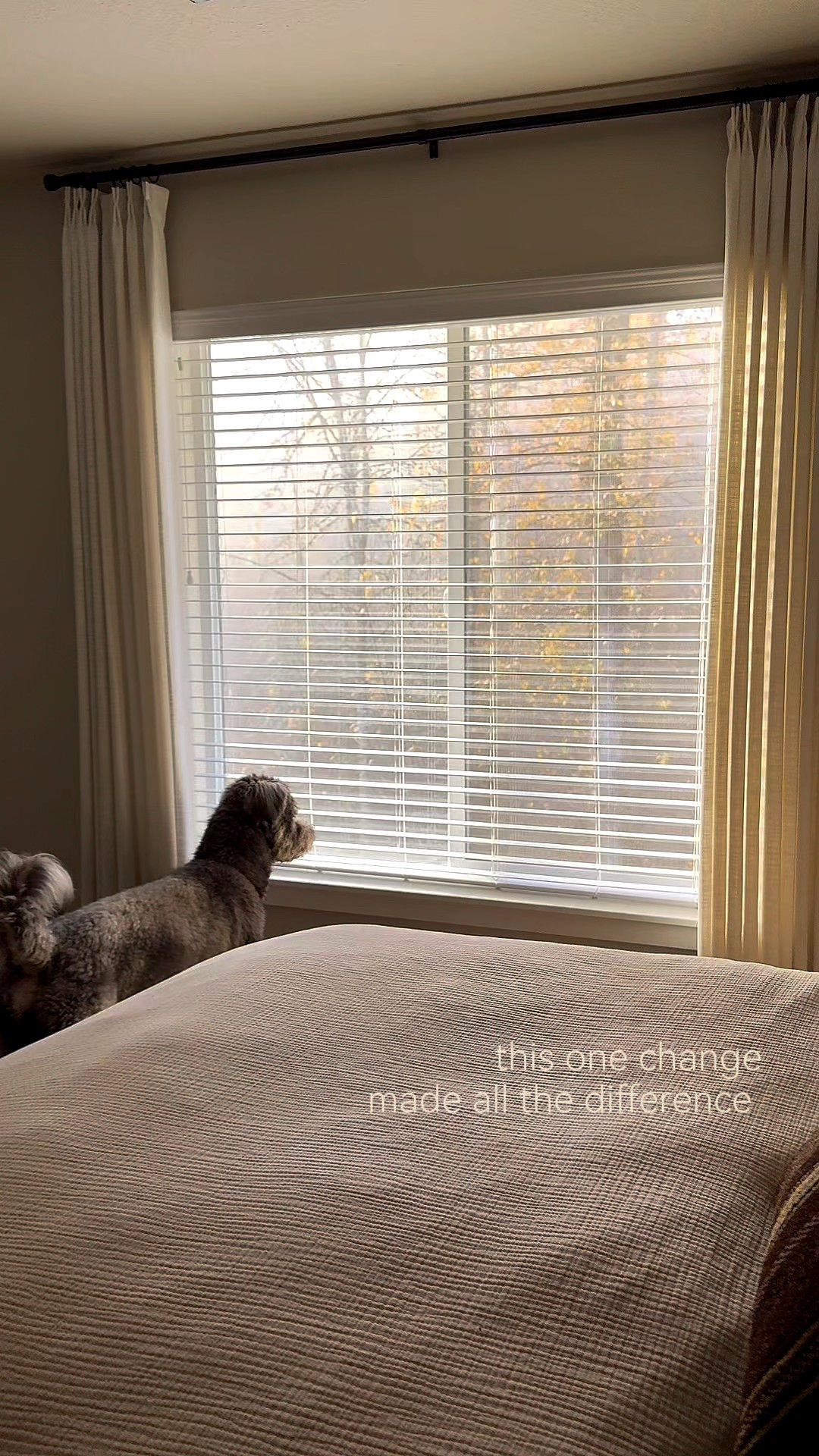 Woven Roman shades! Soft, warm organic texture. Never going back to basic blinds. Bedroom windows. Curtains. 

#LTKSaleAlert #LTKOver40 #LTKHome