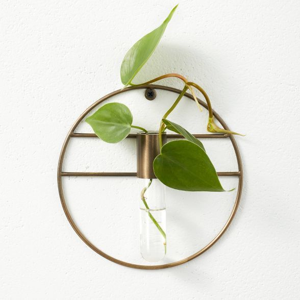 7" x 1.5" Wall Mounted Metal Plant Stand Vessel - Hilton Carter for Target | Target