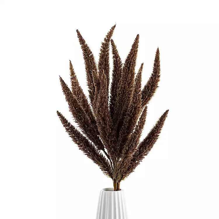 Brown Harvest Foxtail Fern Bush | Kirkland's Home