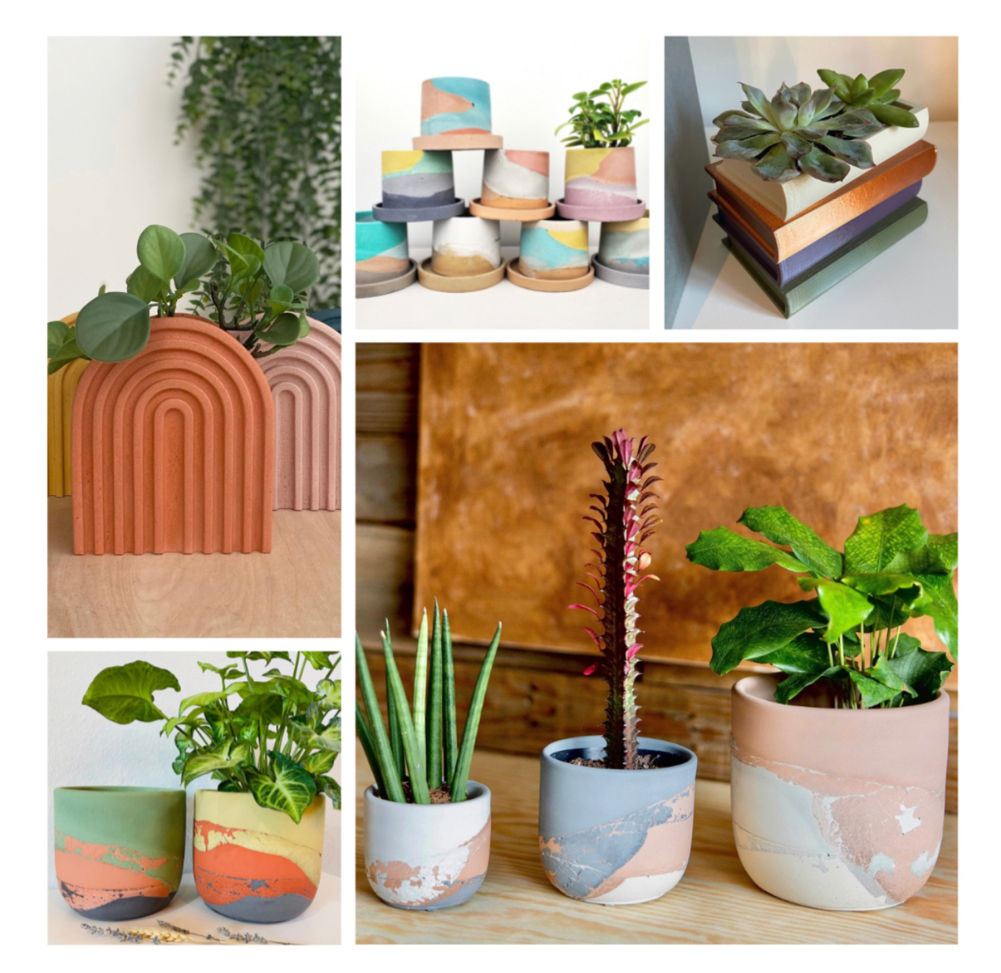 Colorful Ceramic and Concrete Planters from Etsy 🪴🌱🍃 While visiting family in Orlando, I picked up a few cute little ceramic and concrete plant pots from my favorite nursery. The shopping trip inspired me to peruse Etsy for more handmade planters for my patio garden. There are so many great styles, and I’m eager to share a handful of my favorites with you here! Here are the loveliest colorful ceramic and concrete planters pots that caught my eye🪴

#LTKunder50 #LTKhome #LTKSeasonal