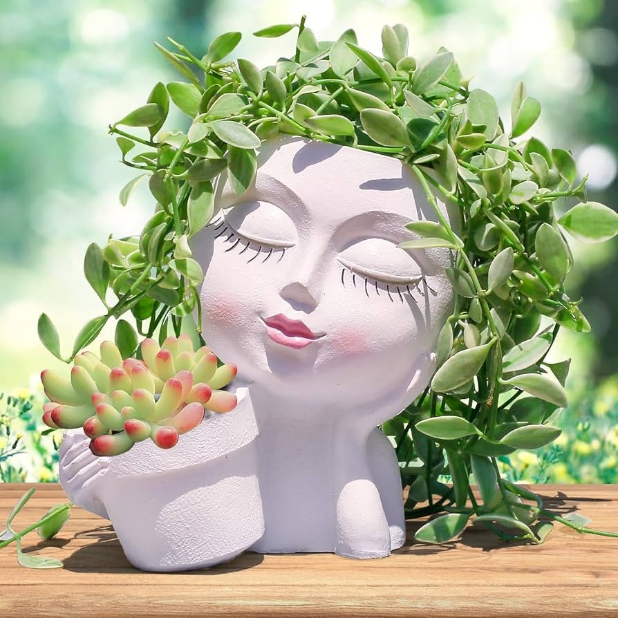 Face Planter Pots Head, Flower Pots Planters for Indoor Plants - Double Cute Plant Pots for Succu... | Amazon (US)