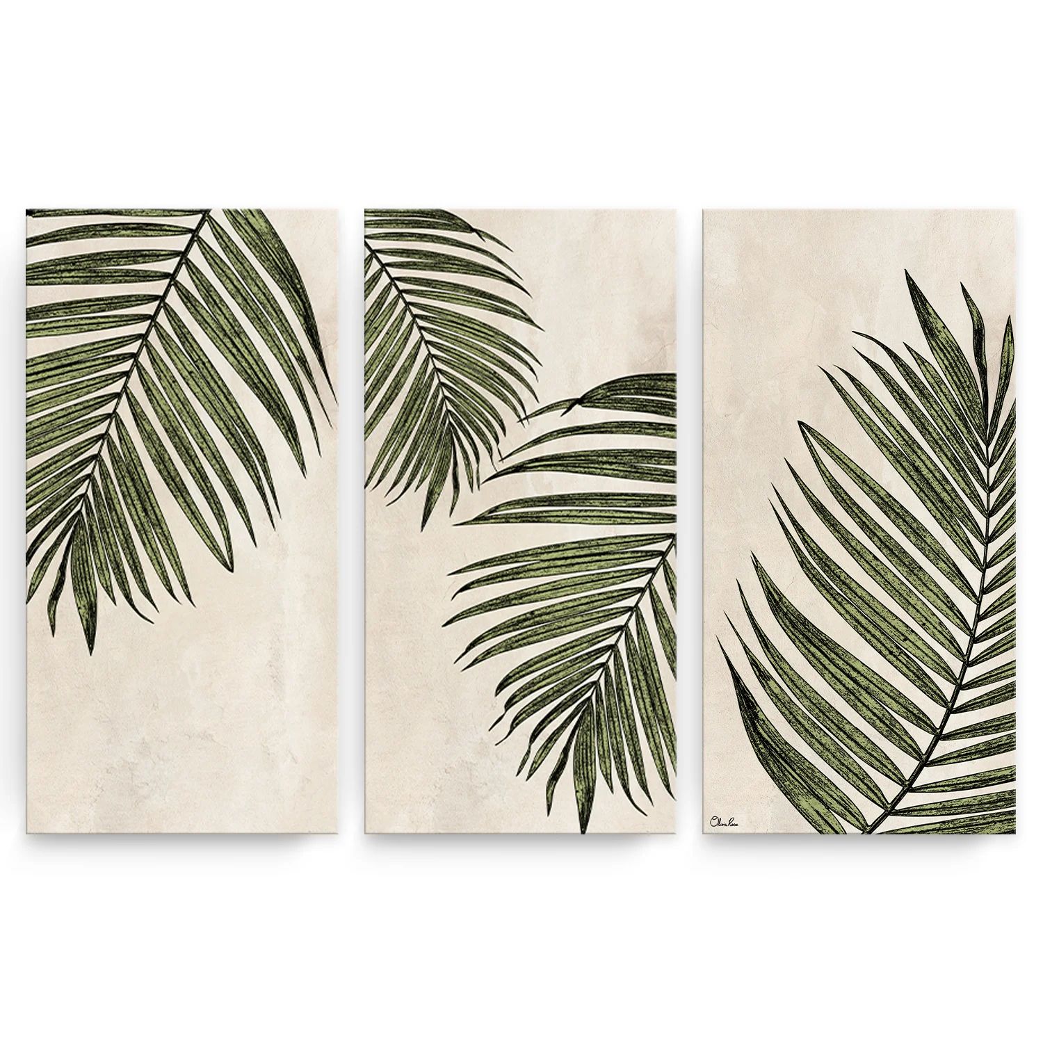 Poetic Flora Set I by Olivia Rose - 3 Piece Wrapped Canvas Print | Wayfair North America