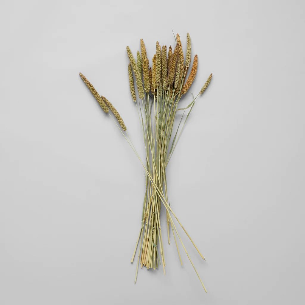 China Millet | Bloomist