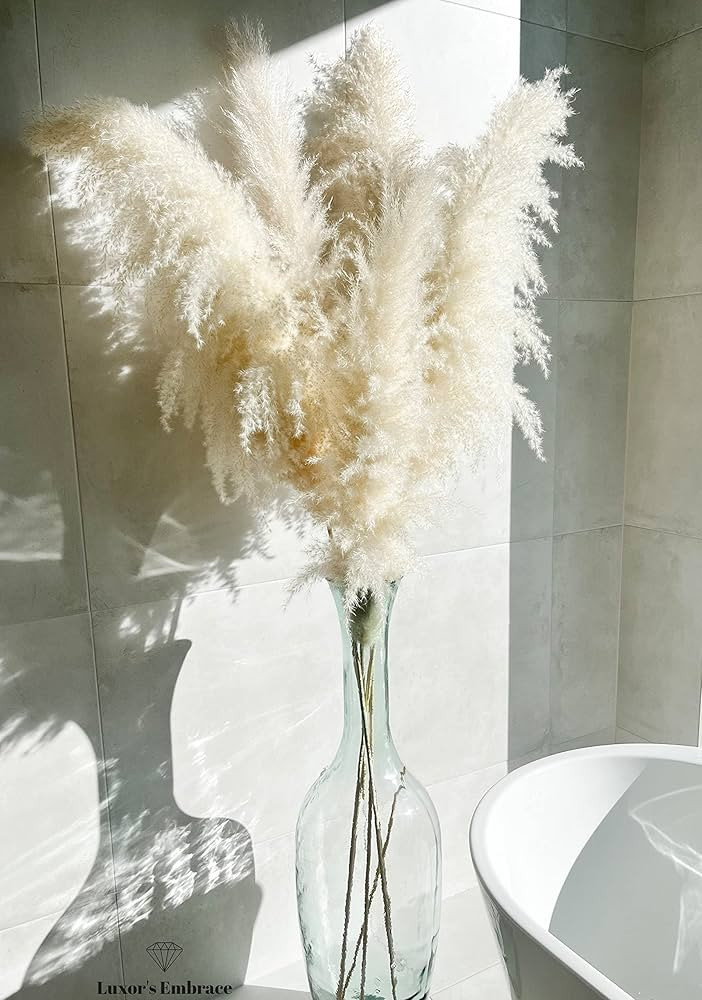 55" inch 5 Extra Tall Premium Natural Pampas, Pampas Grass Decor Tall, Wedding, Party, Boho, Offi... | Amazon (US)