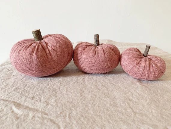 Blush sweater pumpkin// stuffed pumpkins// fall home decor// | Etsy | Etsy (US)