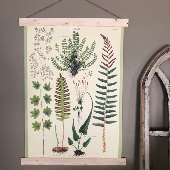 Ferns Print | Ferns Poster | Ferns Wall Art | Botanical Print Vintage | Fern Art | Fern Print | P... | Etsy (US)