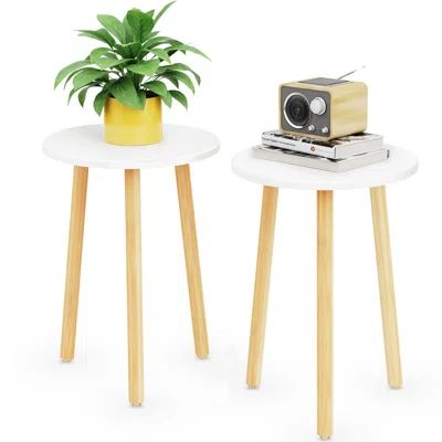 16.5" Tall Plant Stand, 2 Pack White Plant Stands, Modern Plant Table, Mid Century Plant Stand | Wayfair North America