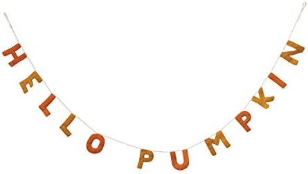 Amazon.com: Creative Co-Op 90" L Wool Felt Banner Hello Pumpkin, Orange & Mustard Color Textile G... | Amazon (US)