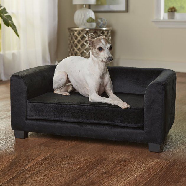 ENCHANTED HOME PET Surrey Cat & Dog Sofa Bed, Small, Black - Chewy.com | Chewy.com