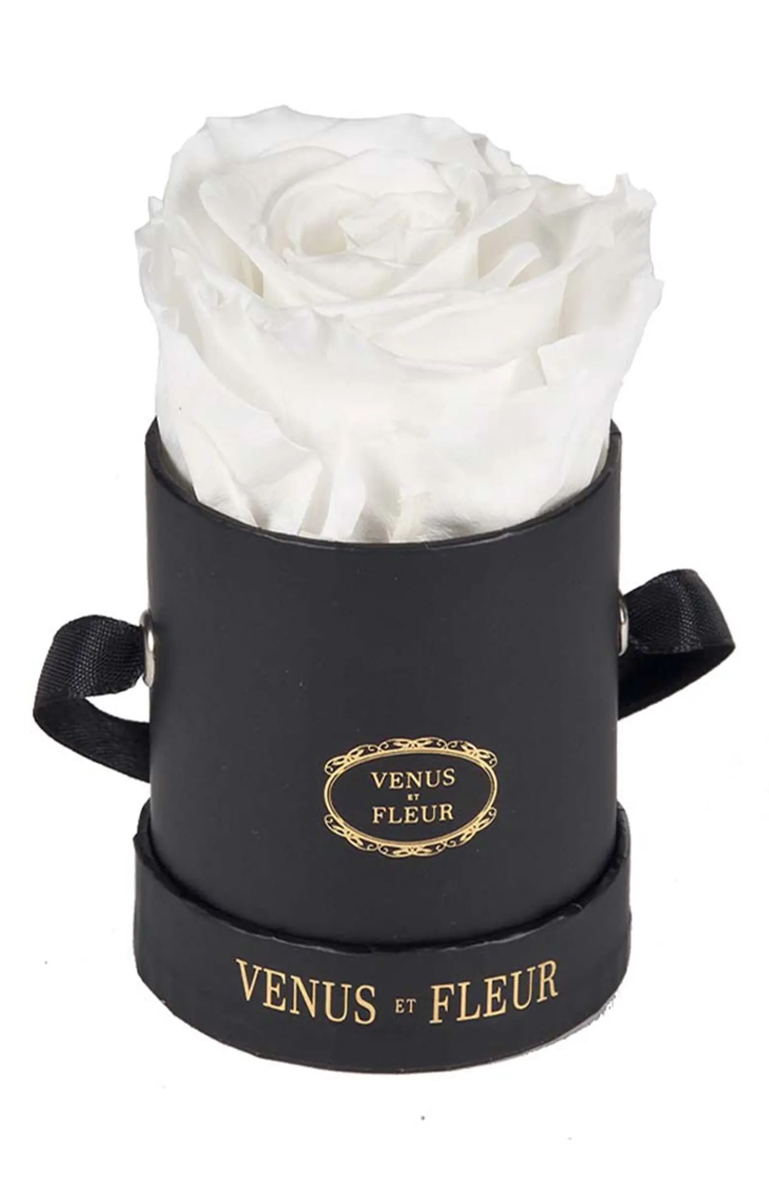 Venus ET Fleur Classic Le Mini™ Round Eternity Roses | Nordstrom | Nordstrom