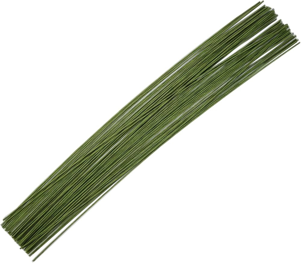18 Gauge Green 50 PCS Floral Stem Wire Flower Arrangements and DIY Crafts, Floral Wire for Floris... | Amazon (US)