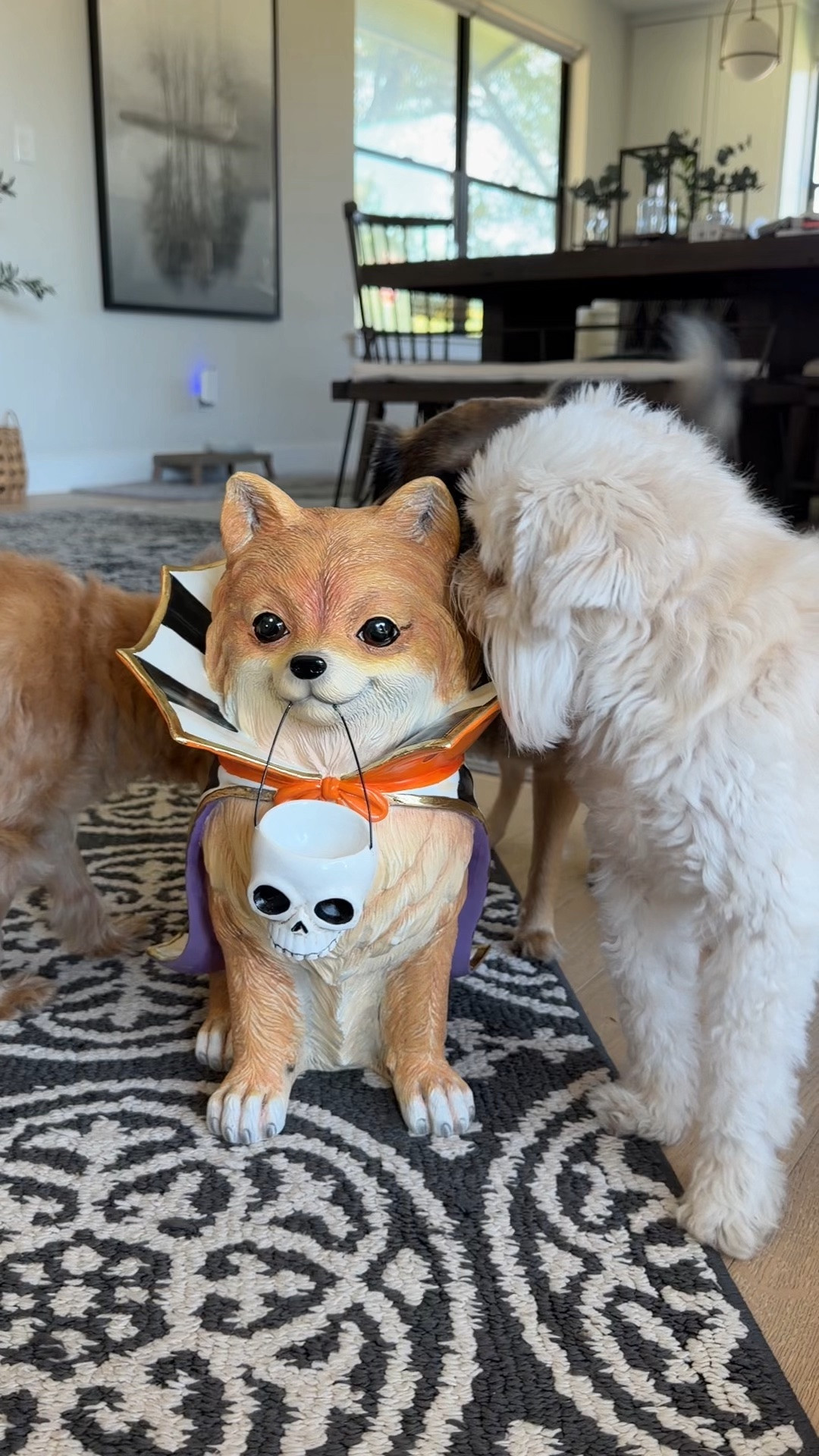 There’s a new dog in town! 
I am in love with this little @MacKenzie-Childs cutie that looks like sweet Steven! 

I linked a ton of the new MacKenzie-Childs Halloween pieces!

#LTKSeasonal #LTKHome