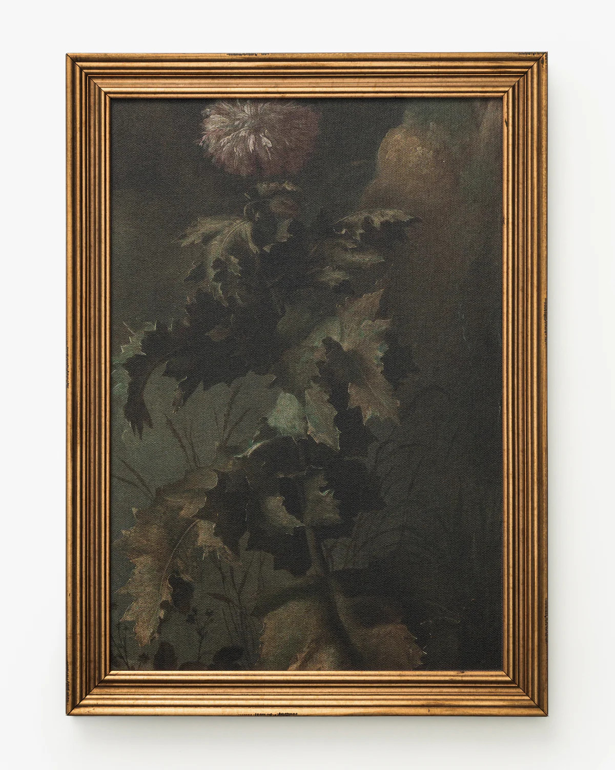 Thistle Down | McGee & Co. (US)