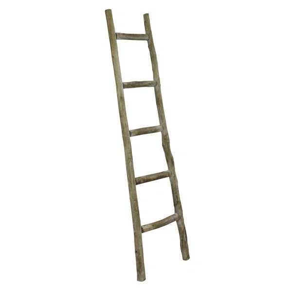 5 ft Blanket Ladder | Wayfair North America