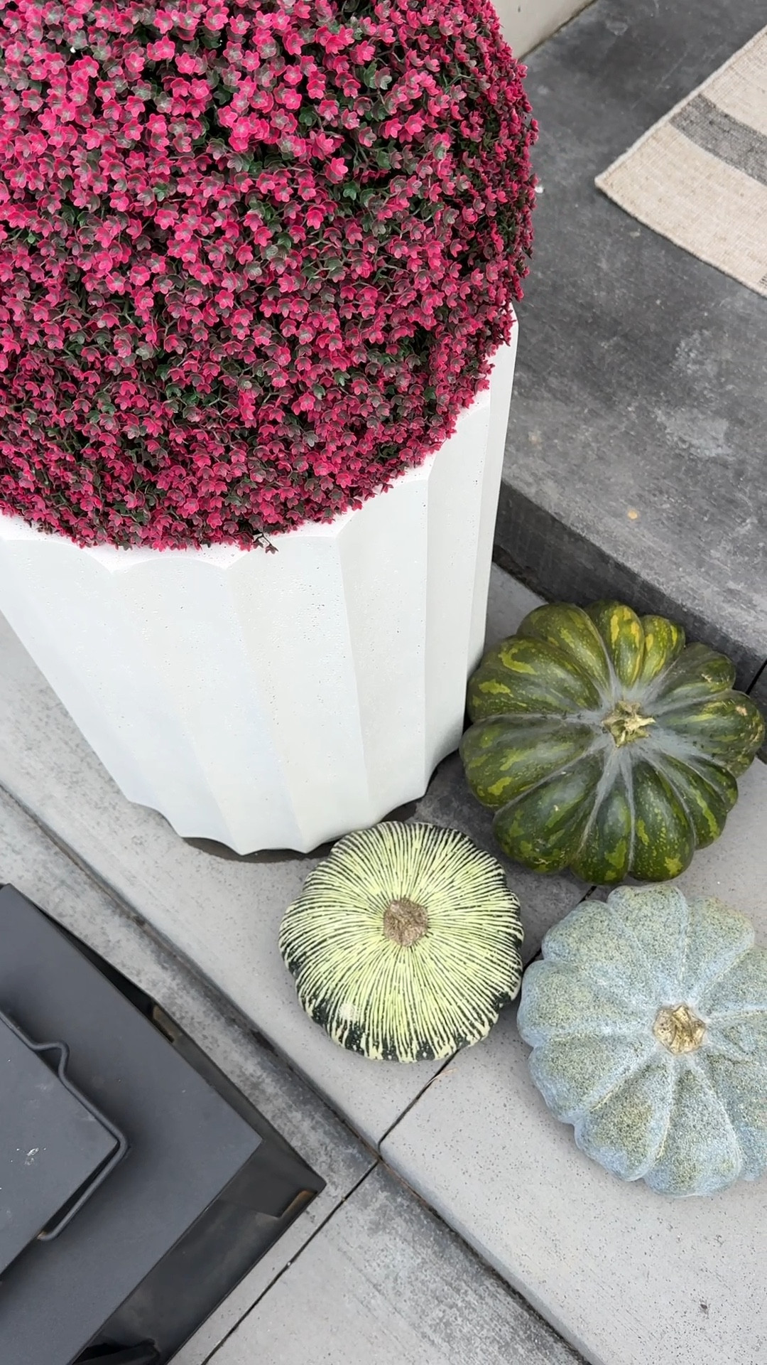 Fall front porch. I have a mix of faux and real pumpkins. The green pumpkins really caught my eye this year! These exact planters are sold out so I’m linking some of my other favorites. With the faux mums, you always want to check the diameter of the mums and your planter to make sure they are a good fit.

#LTKStyleTip #LTKSeasonal #LTKHome