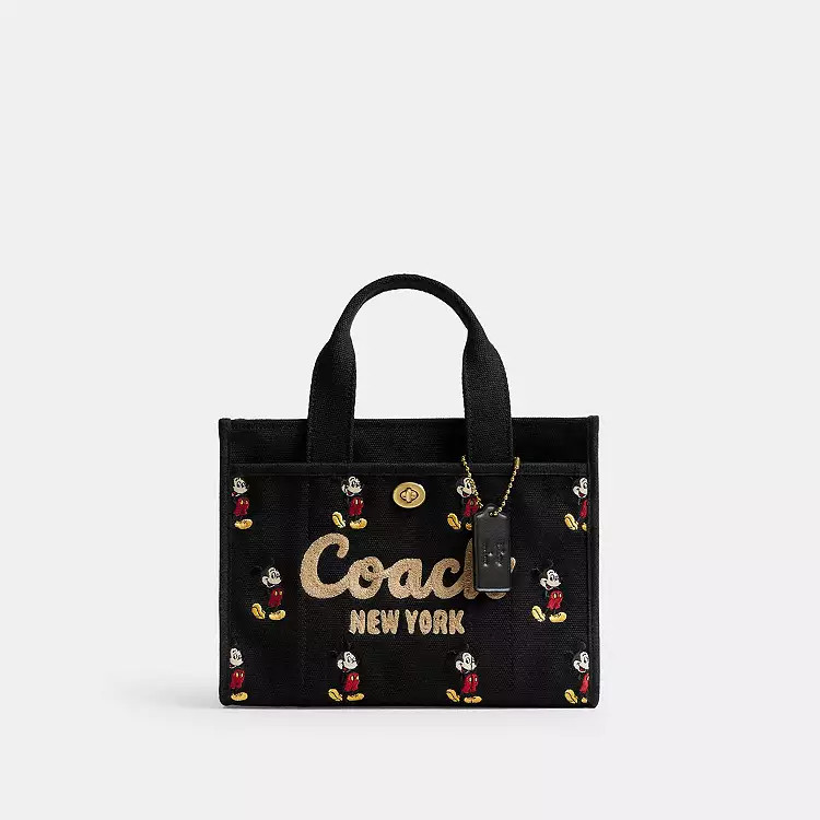 $295 | Coach (US)