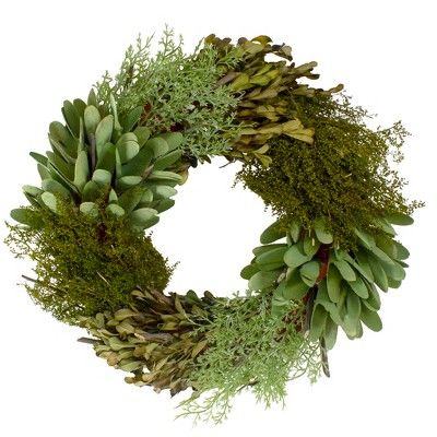 Northlight Cedar, Succulent and Day Grass Artificial Spring Wreath, Green -14-Inch | Target