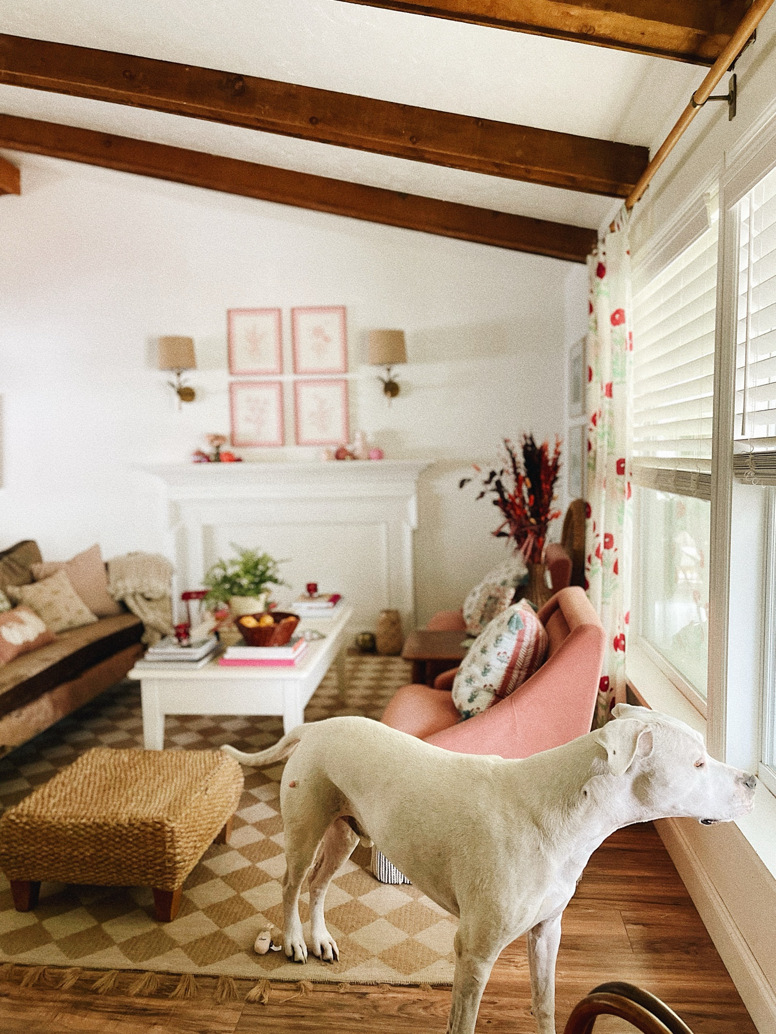 Sitting room views 

#LTKSeasonal #LTKStyleTip #LTKHome