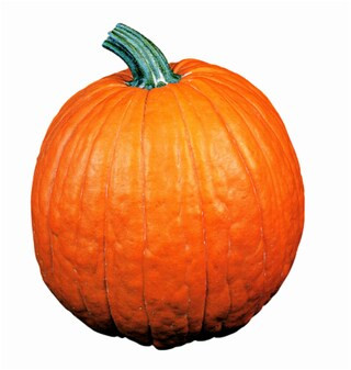 Large Pumpkins (Up to 19 lbs) | Kroger