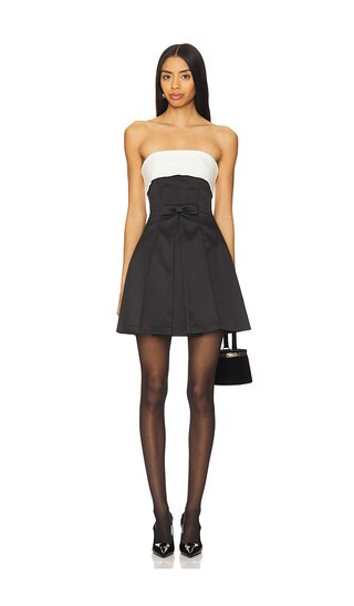 Ione Mini Dress in Black & Ivory | Revolve Clothing (Global)