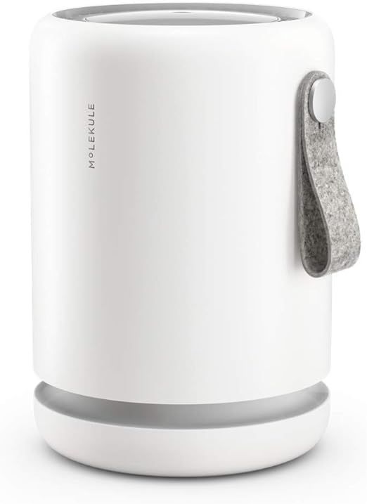 Molekule Air Mini - FDA-Cleared Medical Air Purifier with PECO Technology for Allergens, Pollutan... | Amazon (US)