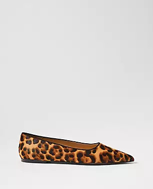 Weekend Collection Animal Print Haircalf Pointy Toe Ballet Flat | Ann Taylor