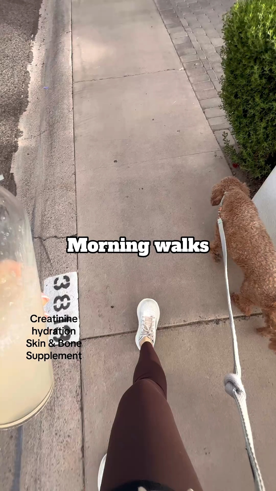 Morning essentials before coffeee

#LTKdayinmylife #LTKfitnessgoals #LTKmorningroutine