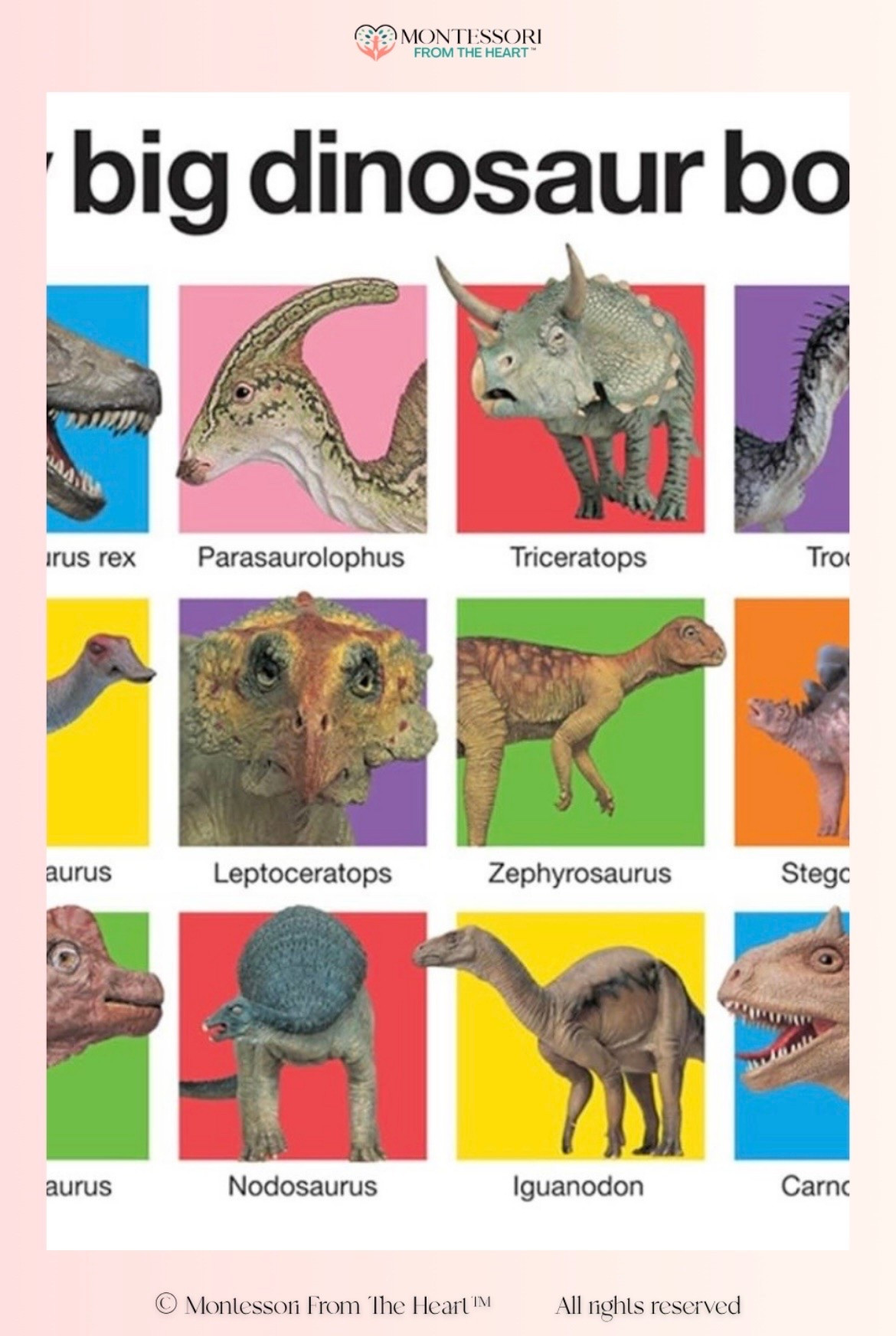 My Big Dinosaur Book for Kids

#LTKhome #LTKkids #LTKfamily