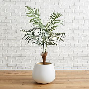 Faux Potted Fan Palm Tree - 4' | West Elm (US)