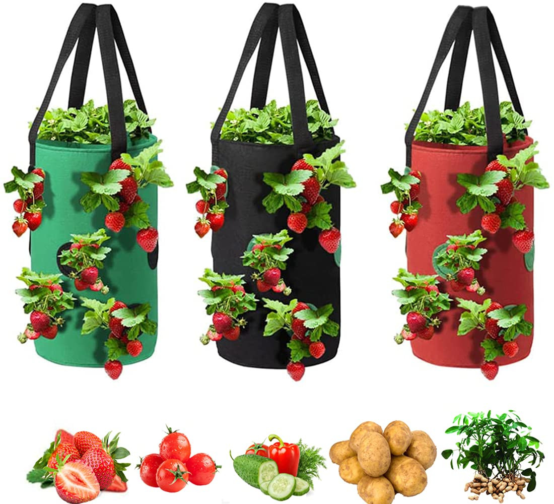 Upside Down Tomato Planter-3 Gallon Hanging Strawberry Planter Durable Aeration Fabric Grow Bags ... | Amazon (US)
