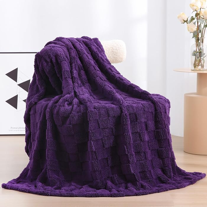 Deep Purple Fleece Throw Blanket 50\u201d\u00d760\u201dCheckered Design for Couch | Amazon (US)