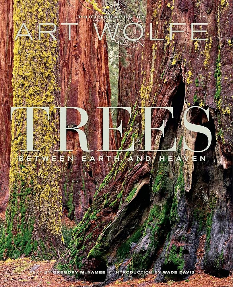 Trees: Between Earth and Heaven | Amazon (US)