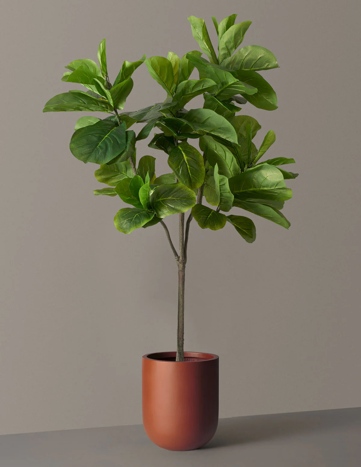 Faux Fiddle Leaf Fig Tree | The Sill