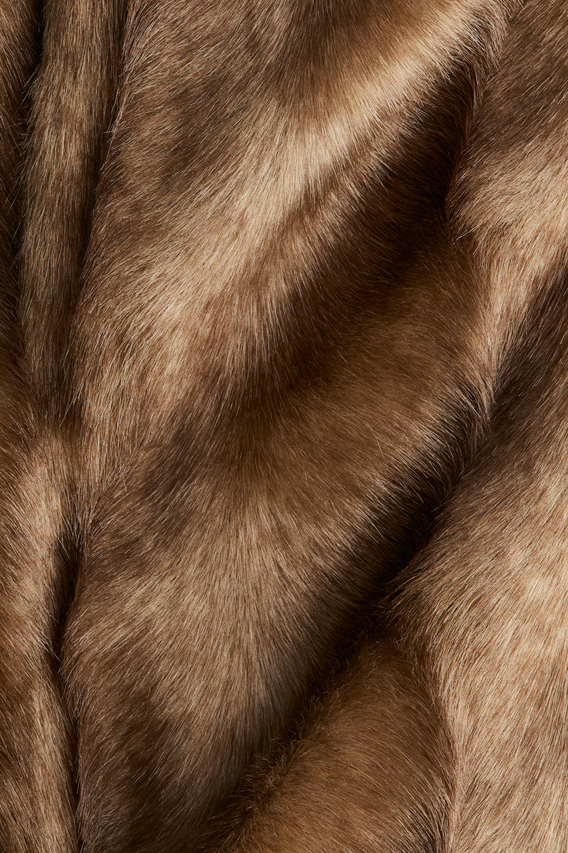 Coat - Brown - Ladies | H&M GB | H&M (UK, MY, IN, SG, PH, TW, HK)