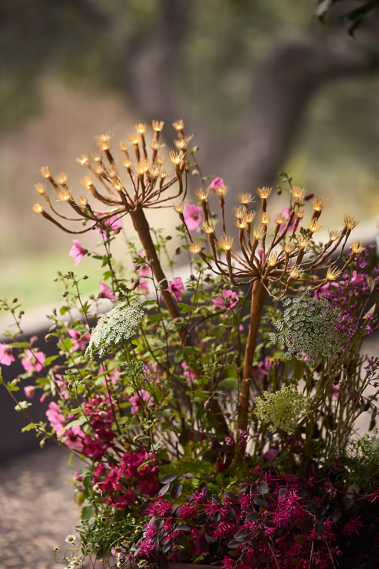Solar Fennel LED Stake Light | Anthropologie (US)