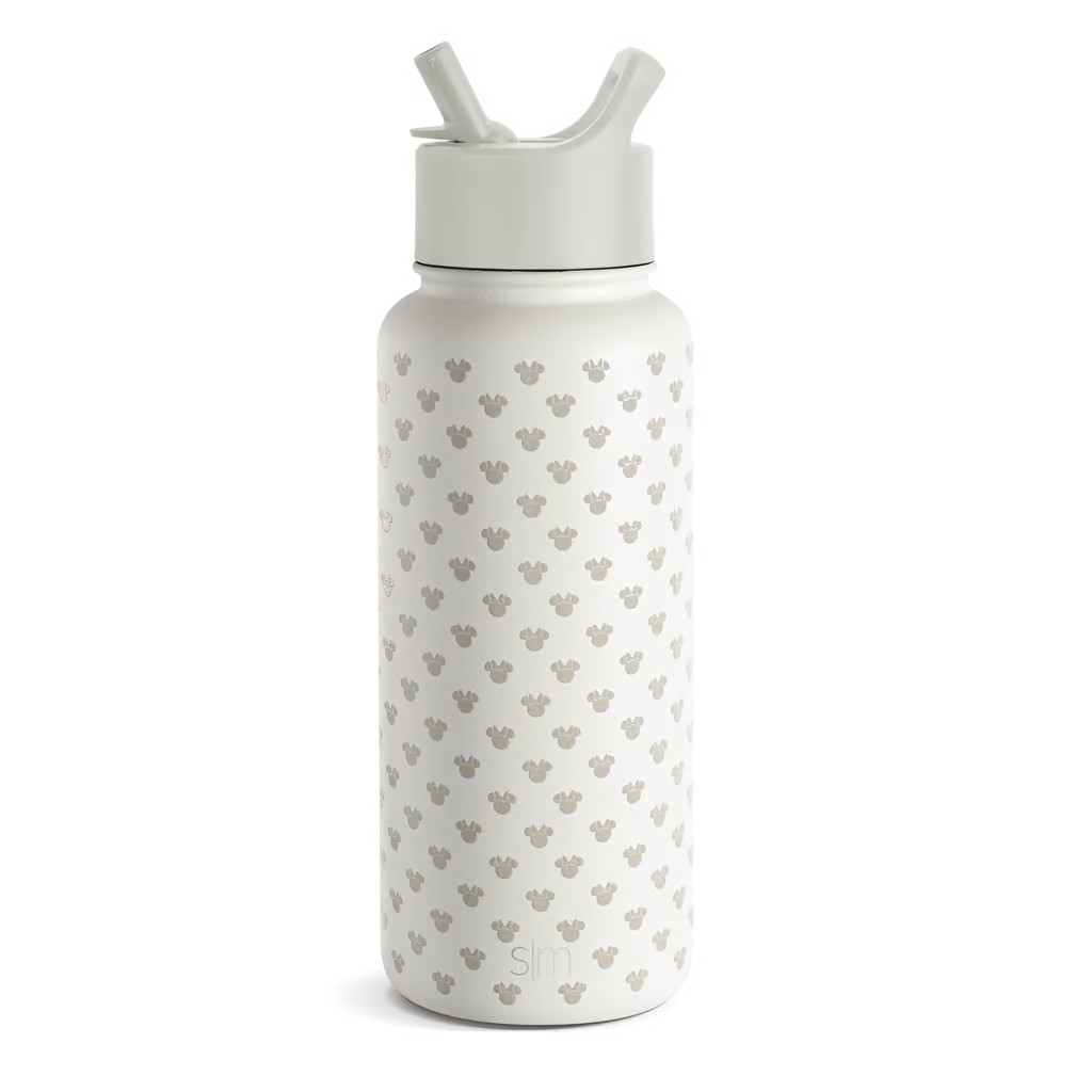 Disney Summit Water Bottle with Straw Lid | Simple Modern