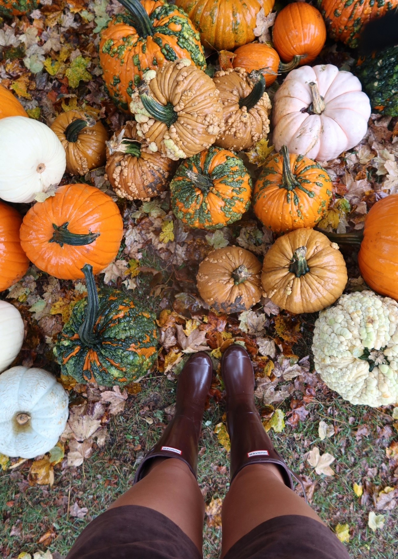 Hunter boots at the pumpkin patch 🍂🎃

Fall outfits fall family photos fall dresses brown aestheticc

#LTKShoeCrush #LTKHalloween #LTKSeasonal