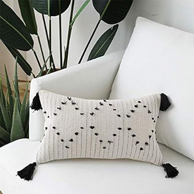 Boho Pillow with Tassels, Cotton Woven Throw Pillow Cover Lumbar 12"x20" for Sofa Bedroom Living ... | Amazon (US)
