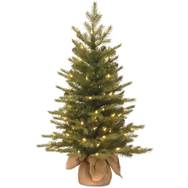 2.5' H Green Realistic Artificial Spruce Christmas Tree with 100 Lights | Wayfair North America
