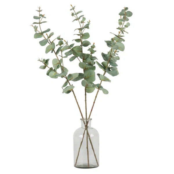 Eucalyptus Spray | Wayfair North America