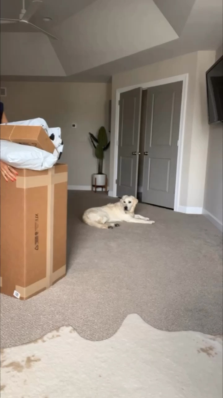 Nordstrom Anniversary Sale Haul - Round 2! NSALE purchases! 
