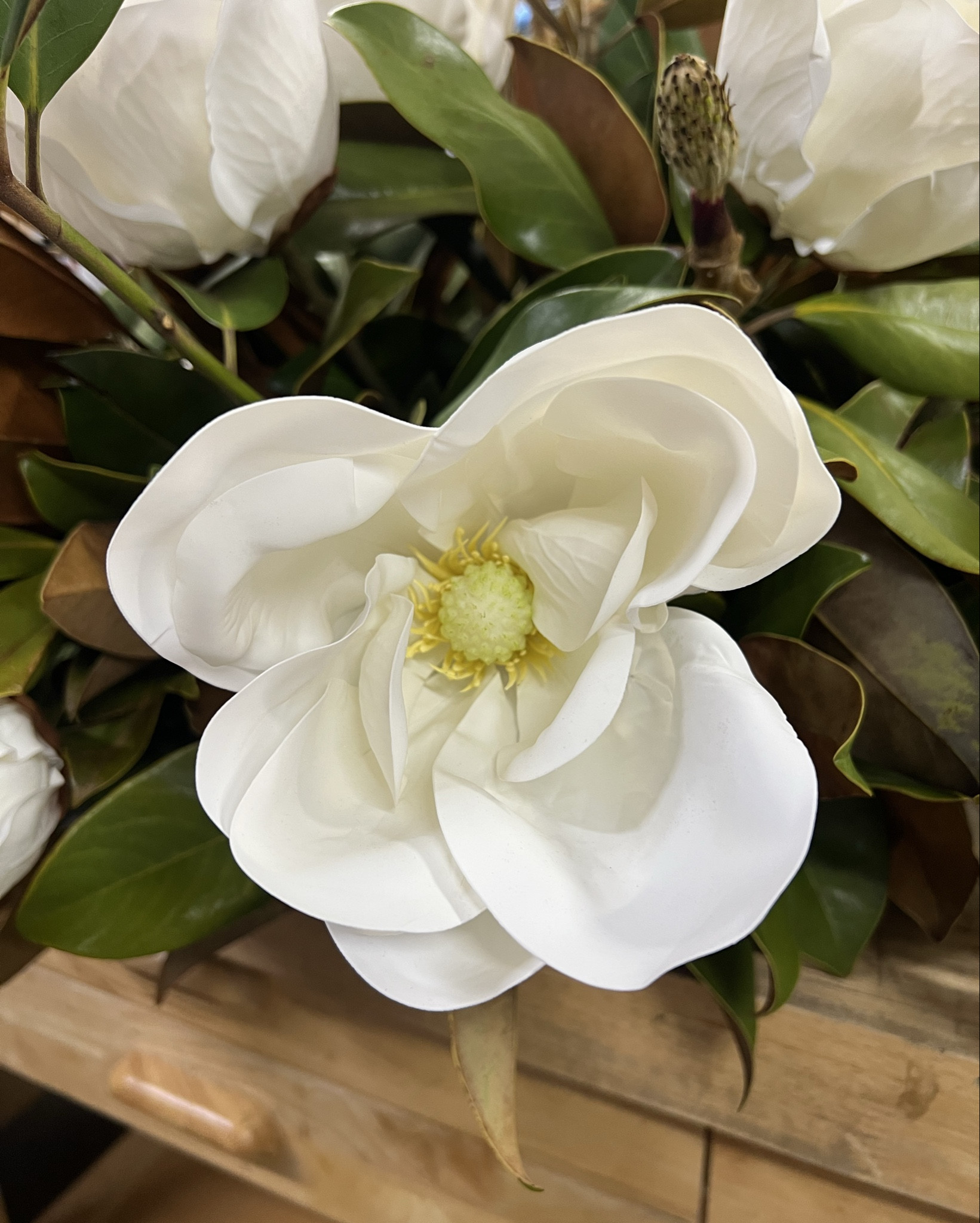 The most realistic fake artificial Magnolia flowers! 